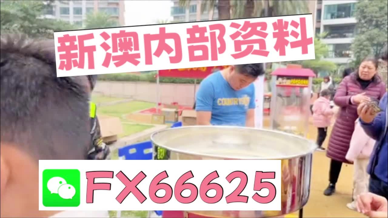 新澳天天彩資料大全最新版本陽肖，探索與策略，新澳天天彩資料大全最新版本陽肖，探索與策略揭秘