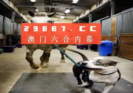 澳門一肖一碼一必中一肖，同舟前進的奧秘與策略，澳門一肖一碼必中策略與前進奧秘，同舟共濟的揭秘與策略