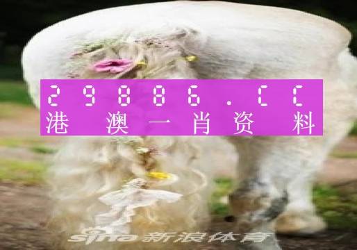 澳門羊了個(gè)羊與各大圖庫(kù)的資料揭秘，2023年澳門今晚必中一肖一碼永久免費(fèi)資料庫(kù)大解密，澳門羊了個(gè)羊與資料庫(kù)揭秘，2023年必中一肖一碼永久免費(fèi)資料大解密