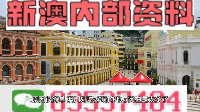 澳門精準資料大全免費，探索與解析，澳門精準資料大全免費解析探索