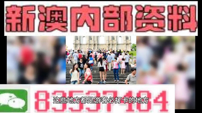 新澳天天開獎資料大全旅游團——探索澳門的魅力之旅，澳門魅力探索之旅，新澳天天開獎資料大全旅游團