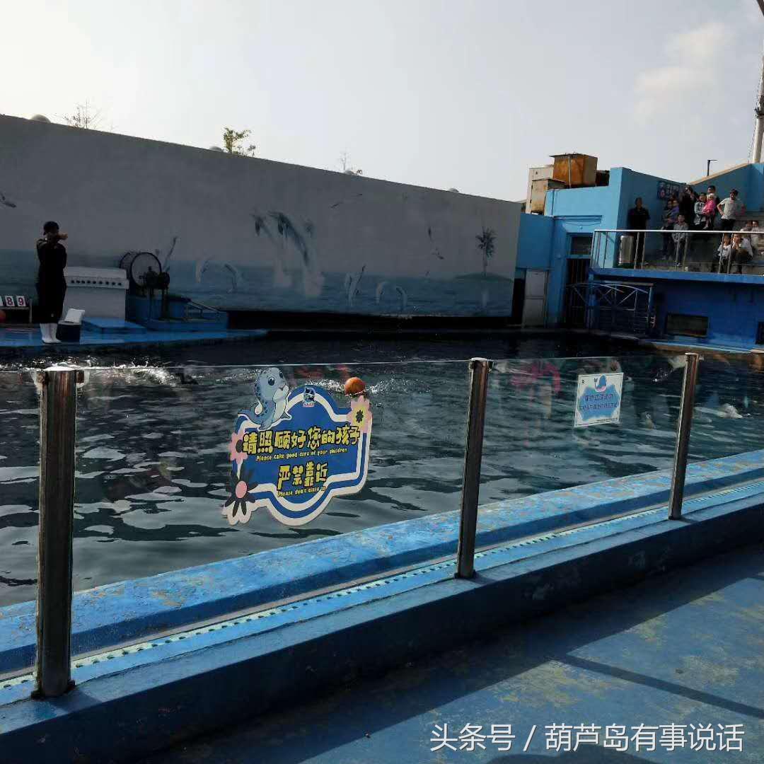 揭秘9點30分彩新澳，全方位解讀彩票新玩法，揭秘9點30分彩新澳，全方位解讀彩票新玩法攻略