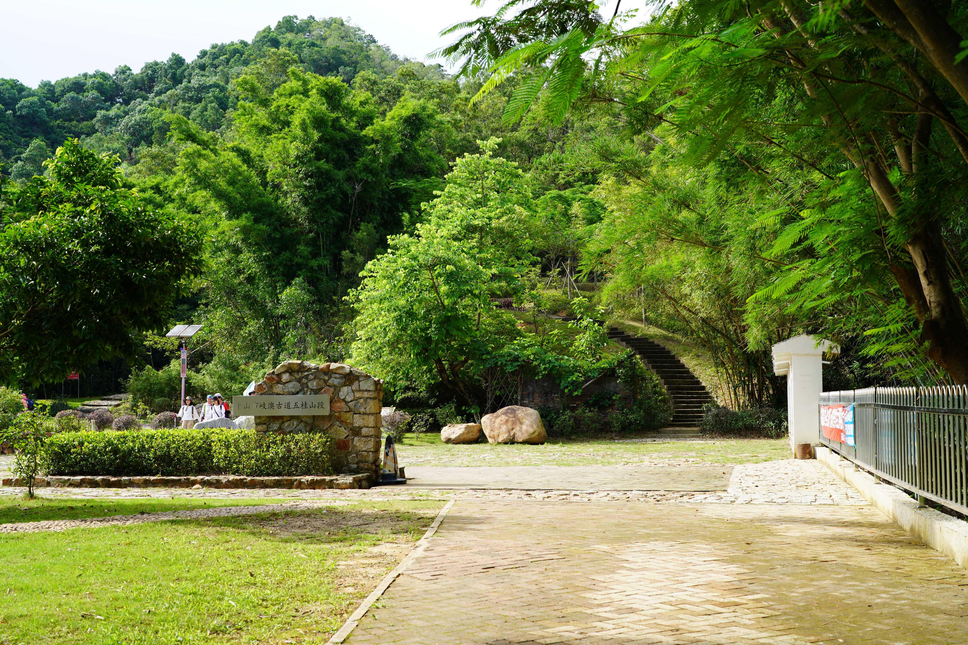 新澳門彩生肖走勢圖，探索與解讀彩票背后的秘密，探索解讀新澳門彩生肖走勢圖，彩票背后的秘密揭秘