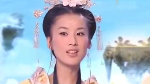 曾道道人資料免費大全，深度探索與解析，曾道道人資料深度解析與免費大全探索