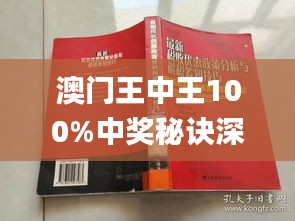 新澳門王中王期期中，探索與解析，新澳門王中王期期中，深度探索與解析