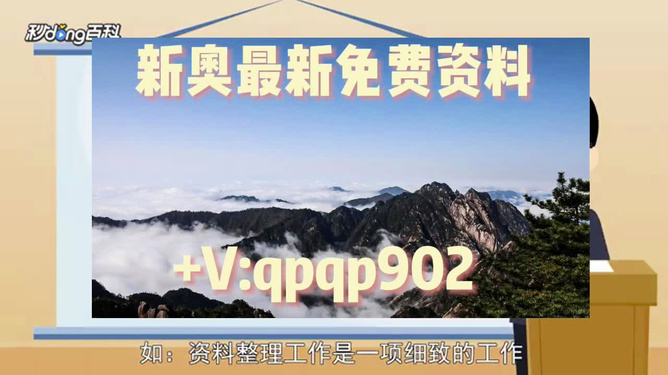 新奧正版資料最新更新 2025年展望，新奧正版資料最新更新，展望2025年