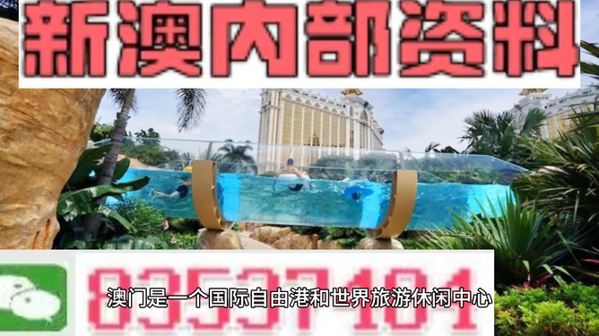 新澳的資料去哪里找——全面指南，新澳資料全攻略，尋找資料的途徑與指南
