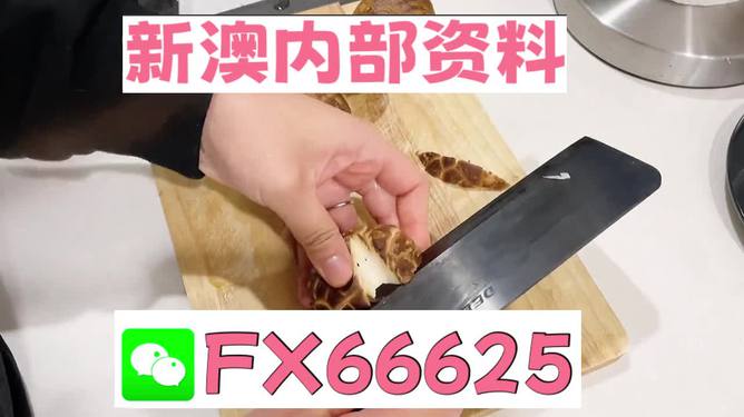 澳門九點半9點半網(wǎng)站——探索其魅力與優(yōu)勢，澳門九點半網(wǎng)站，魅力與優(yōu)勢探索