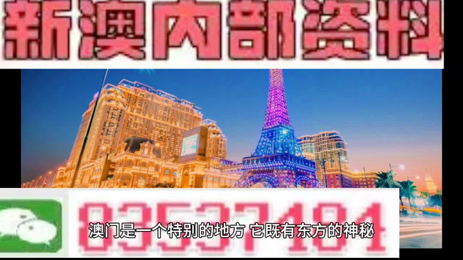 新澳門精準(zhǔn)800圖庫(kù)，探索與解析，新澳門精準(zhǔn)800圖庫(kù)，深入探索與詳細(xì)解析