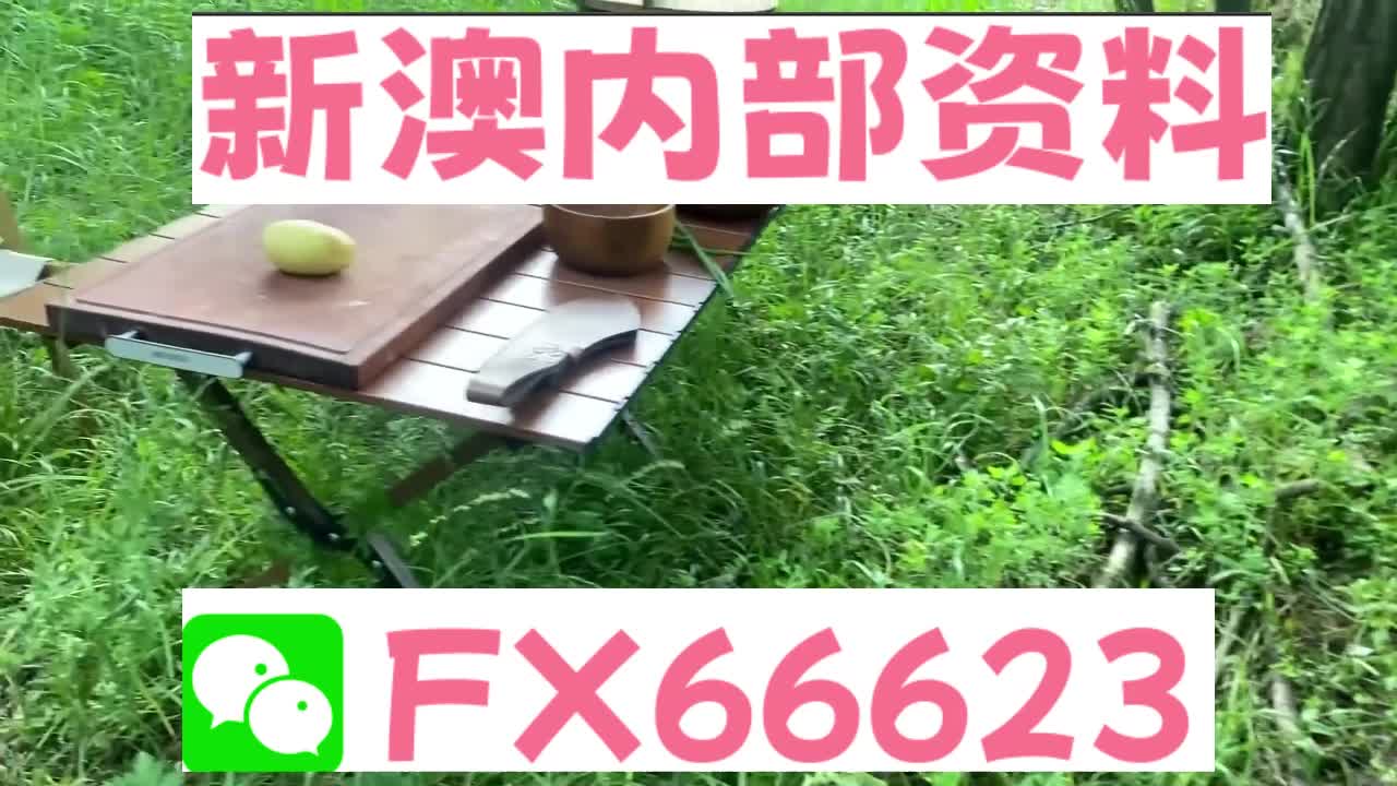 新奧特碼走勢(shì)圖解析與預(yù)測(cè)，新奧特碼走勢(shì)圖解析與預(yù)測(cè)，未來(lái)趨勢(shì)探討