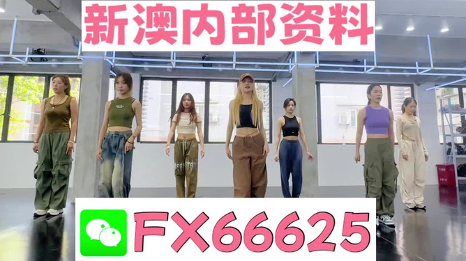 新澳持碼會資料詳解，新澳持碼會資料全面解析
