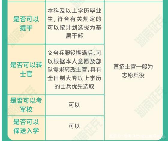 士官直招與義務(wù)兵的區(qū)別，深入了解軍隊(duì)招募制度，直招士官與義務(wù)兵招募制度深度解析，軍隊(duì)招募制度詳解