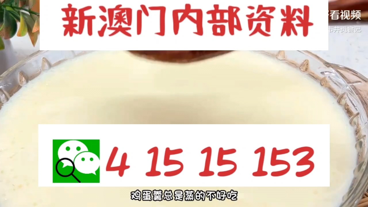 新澳門中特網(wǎng)中特馬，探索與解析，澳門中特馬探索與解析指南