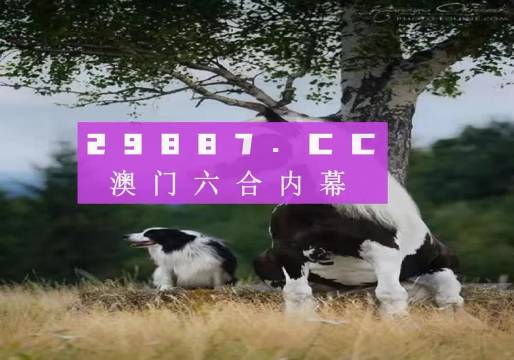 澳門正版全資料，探索2021年的無限可能，澳門正版全資料揭秘，2021年無限可能的探索