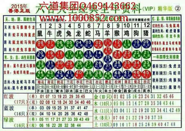 揭秘2024十二生肖49碼表——完整指南，揭秘十二生肖49碼表全攻略，2024年最新版指南