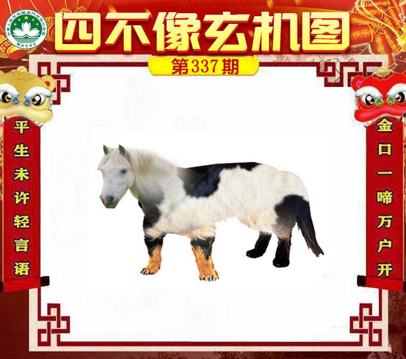 王中王四不像肖一肖中特，探索神秘現(xiàn)象背后的真相，神秘現(xiàn)象背后的真相探索，王中王四不像肖一肖中特揭秘