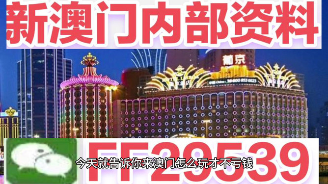 澳門今晚必開一肖——揭秘生肖彩票的魅力與策略，澳門生肖彩票揭秘，策略與魅力探索