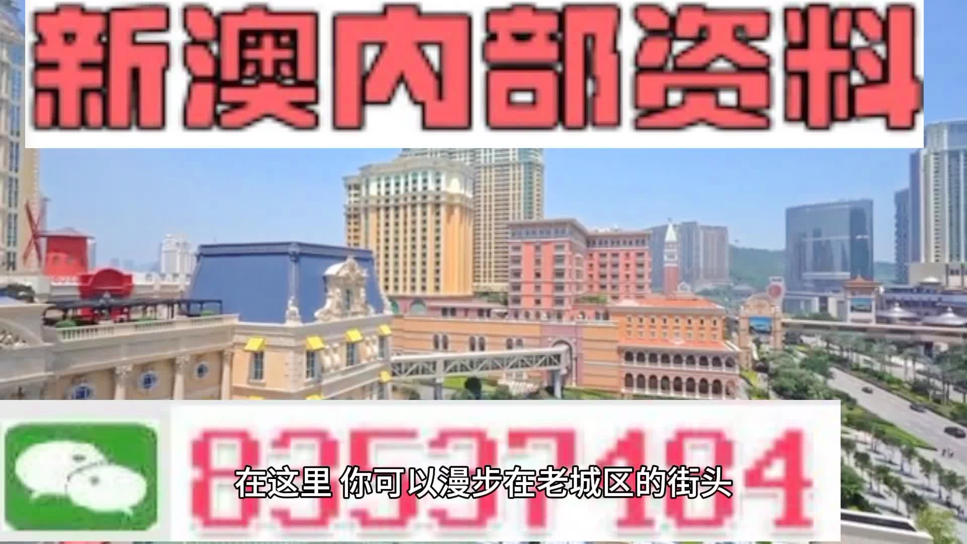 新澳門期期準(zhǔn)精準(zhǔn)，探索澳門的未來與SEO策略，澳門未來展望與SEO策略探索，精準(zhǔn)瞄準(zhǔn)新機(jī)遇