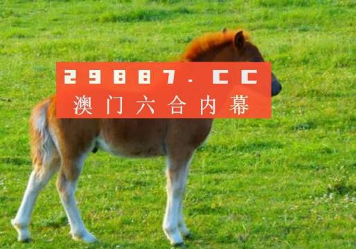 澳門答家婆一肖一馬一中一特，揭秘背后的秘密與獨(dú)特文化魅力，澳門文化魅力深度解析，答家婆一肖一馬一中一特的獨(dú)特傳統(tǒng)與秘密