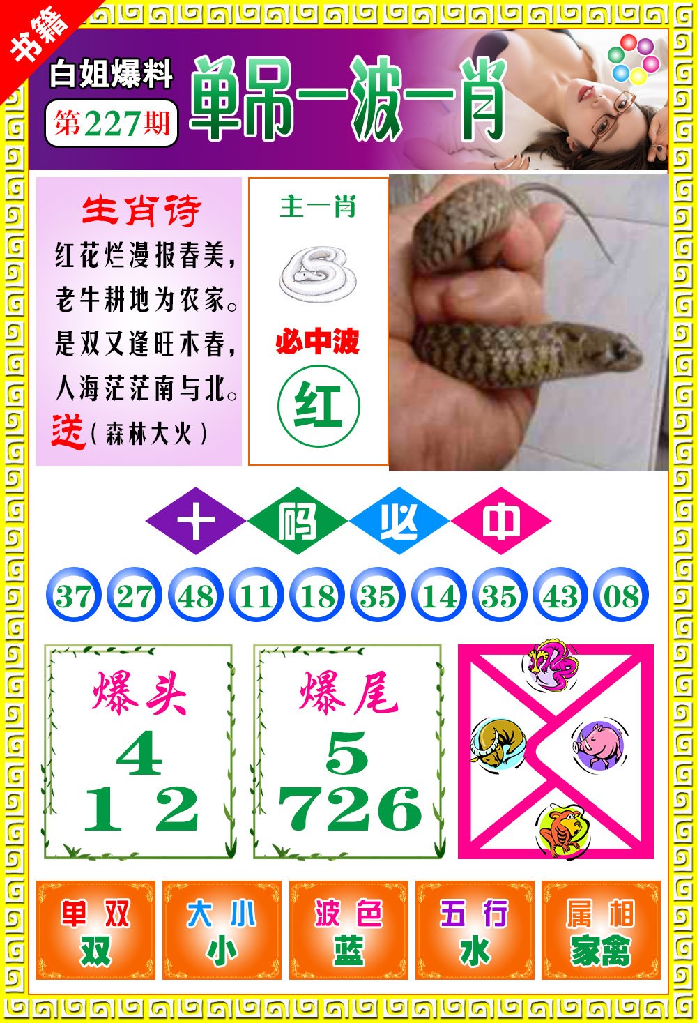 王中王100期期一肖，深度解析與SEO優(yōu)化策略，王中王100期期一肖深度解析與SEO策略全解析