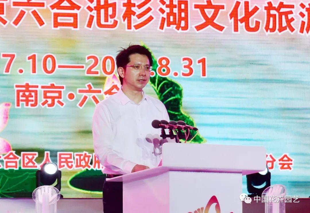 深度分析與預(yù)測(cè)報(bào)告