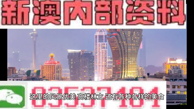 澳門精準的資料大全，探索與發(fā)現，澳門精準資料大全，探索未知的寶藏