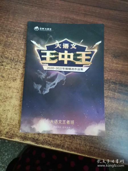 中王中王資料一肖中特天，深度解析與探索，中王中王資料一肖中特天，深度探索與解析報告
