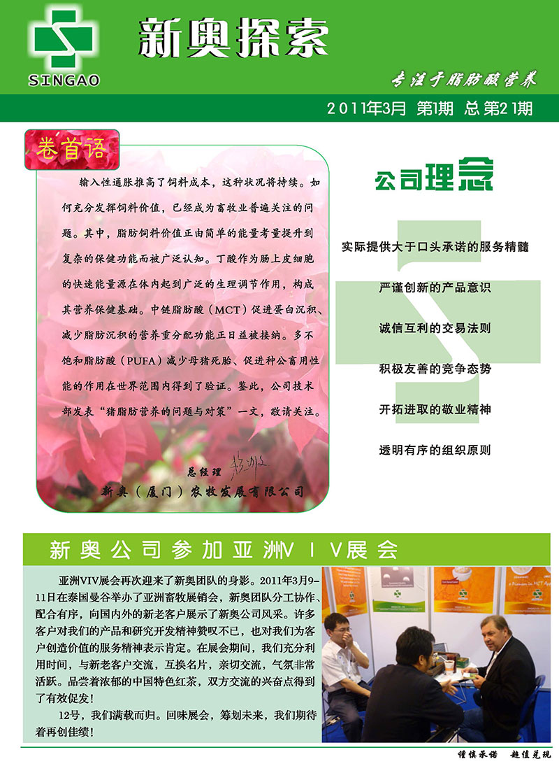 2025新澳正版資料精準(zhǔn)解析與預(yù)測，2025新澳正版資料精準(zhǔn)解析與趨勢預(yù)測
