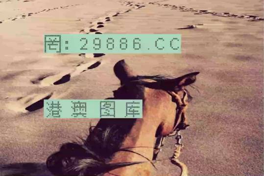 香港特馬資料王中王24期，深度解析與探索，香港特馬資料王中王深度解析與探索，第24期探索之旅