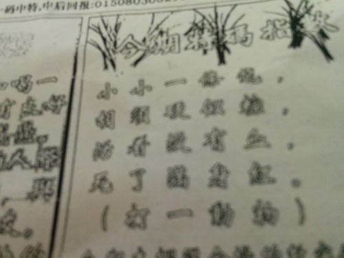 揭秘劉伯溫平特一肖圖——探尋神秘預測背后的真相，揭秘劉伯溫平特一肖圖，神秘預測背后的真相探索