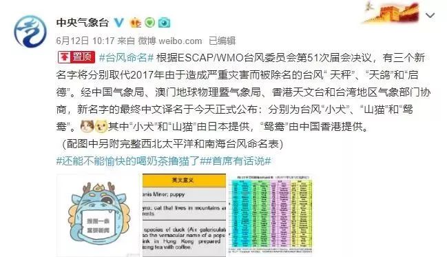 新澳門必中三肖三碼三期必開劉伯，揭秘彩票背后的秘密與策略，揭秘彩票背后的秘密與策略，劉伯的新澳門三期必開三肖三碼預(yù)測(cè)技巧