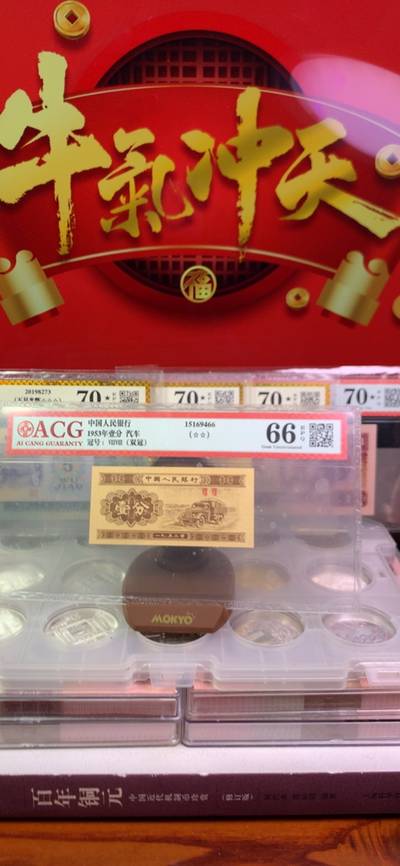 當頭棒喝王中王，揭秘生肖背后的神秘力量，揭秘生肖背后的神秘力量，王中王的當頭棒喝