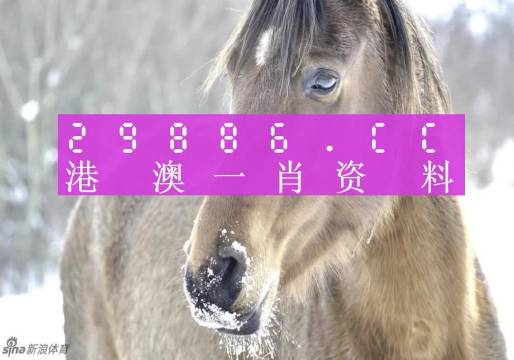澳門一肖一碼背后的故事，一個關(guān)于精準(zhǔn)預(yù)測與傳奇的揭秘，澳門一肖一碼傳奇背后的精準(zhǔn)預(yù)測與揭秘之旅