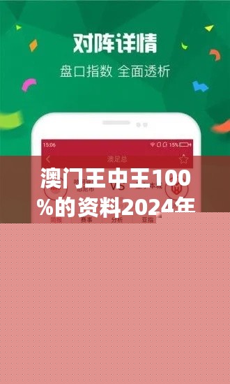 王中王網(wǎng)站一肖，探索與SEO優(yōu)化策略，王中王網(wǎng)站一肖，深度探索與SEO優(yōu)化策略實踐