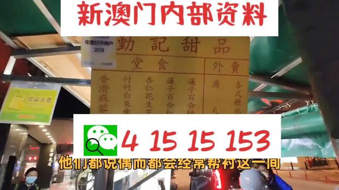 新澳門單雙肖期期，探索與解析，澳門單雙肖期期探索與解析指南