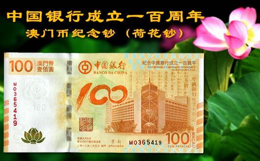 新澳門掛牌正版掛牌完整掛牌，探索與解析，澳門正版掛牌詳解，探索完整流程與解析
