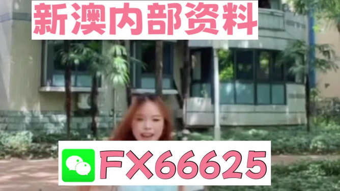 香港內(nèi)部精準(zhǔn)資料一碼，揭秘與深度解析，香港內(nèi)部精準(zhǔn)資料一碼揭秘與深度剖析