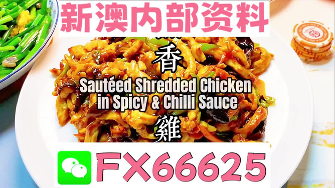 新奧天天精準(zhǔn)資料大全，全方位解讀與應(yīng)用指南，新奧天天精準(zhǔn)資料大全，全方位解讀與應(yīng)用指南手冊