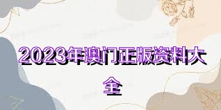 澳門(mén)正版資料大全免費(fèi)歇后語(yǔ)——探索與傳承的文化魅力，澳門(mén)正版資料探索與傳承的文化魅力，歇后語(yǔ)大全免費(fèi)呈現(xiàn)