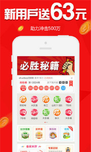 王中王欲錢請猜一肖，揭秘生肖之謎與SEO策略，揭秘生肖之謎與SEO策略，王中王欲錢請猜一肖的奧秘