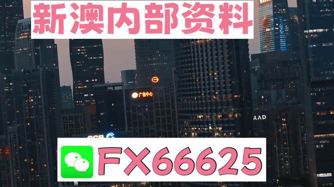 澳門跑狗，探索與解析，澳門跑狗，探索與解析之道