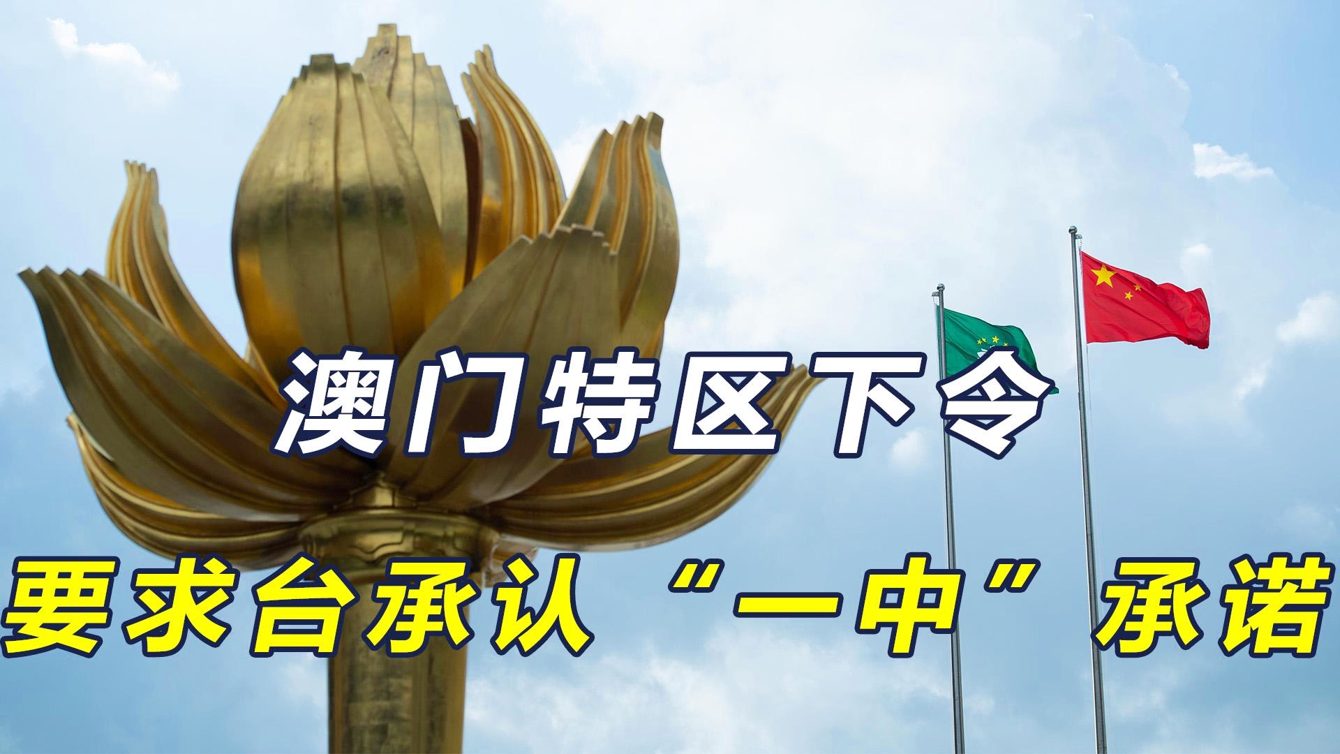 澳門一碼一肖一特一中直播，探索與體驗獨特的娛樂盛宴，澳門一碼一肖直播，獨特娛樂盛宴的探索與體驗
