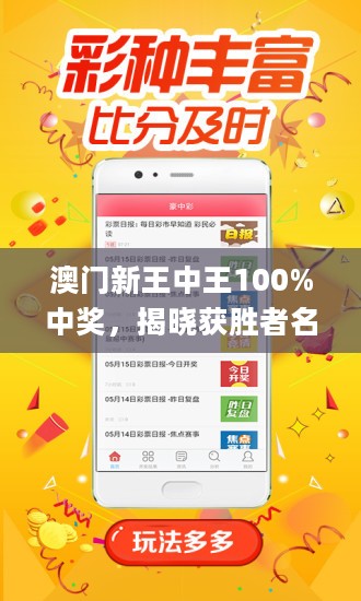 王中王藏寶閣猜一肖，揭秘背后的秘密與SEO策略，王中王藏寶閣猜一肖背后的秘密與SEO策略揭秘
