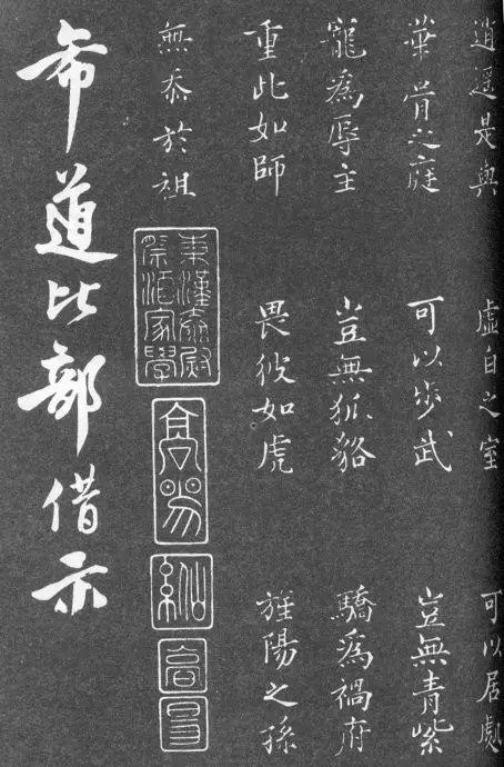 一肖二碼中特的意思解析，一肖二碼中特的意思深度解析