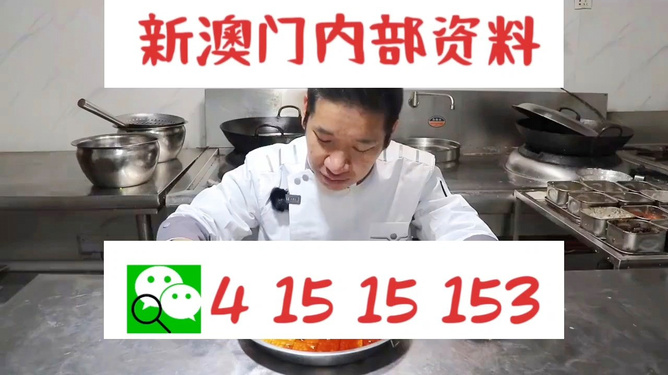 管家婆一肖資料大全，深度解析與探索，管家婆一肖資料深度解析與探索大全