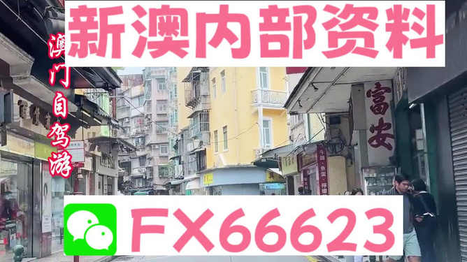 新澳精準資料免費提供，探索與實踐的指南，新澳精準資料免費分享，探索與實踐的導航指南