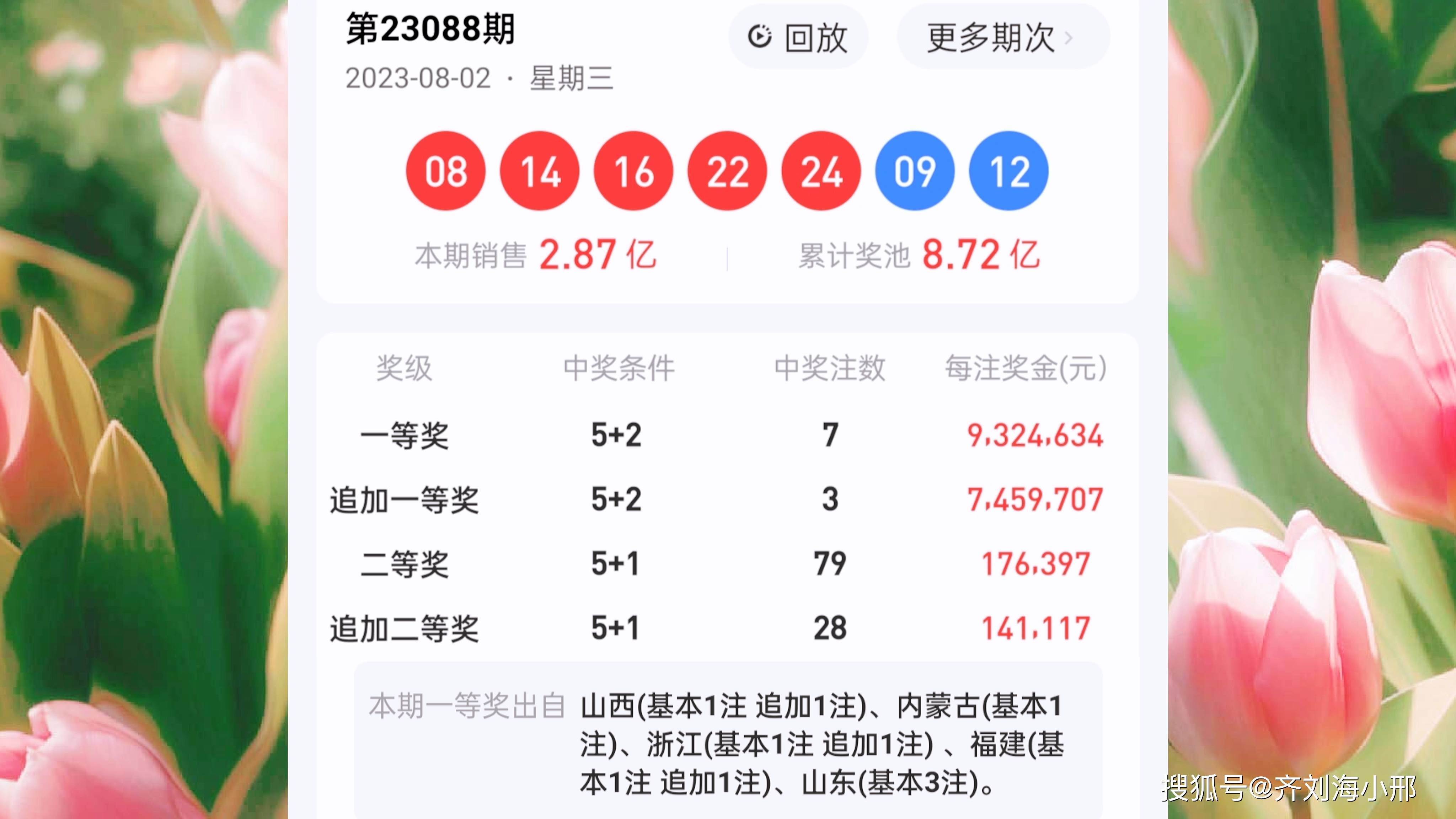最新開獎結果揭曉，王中王與一肖中的幸運時刻，王中王與一肖中幸運時刻揭曉，最新開獎結果出爐