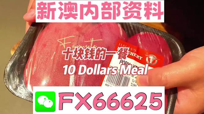 揭秘2025新奧精準正版資料，全方位解讀與SEO優(yōu)化策略，揭秘2025新奧精準正版資料，全方位解讀與SEO策略優(yōu)化指南