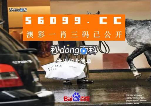 新澳一碼三中三資料，探索與解析，新澳一碼三中三資料解析與探索