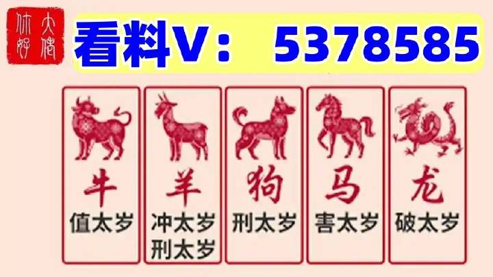 澳門馬站最快開獎結果，探索與解析，澳門馬站最新開獎結果解析